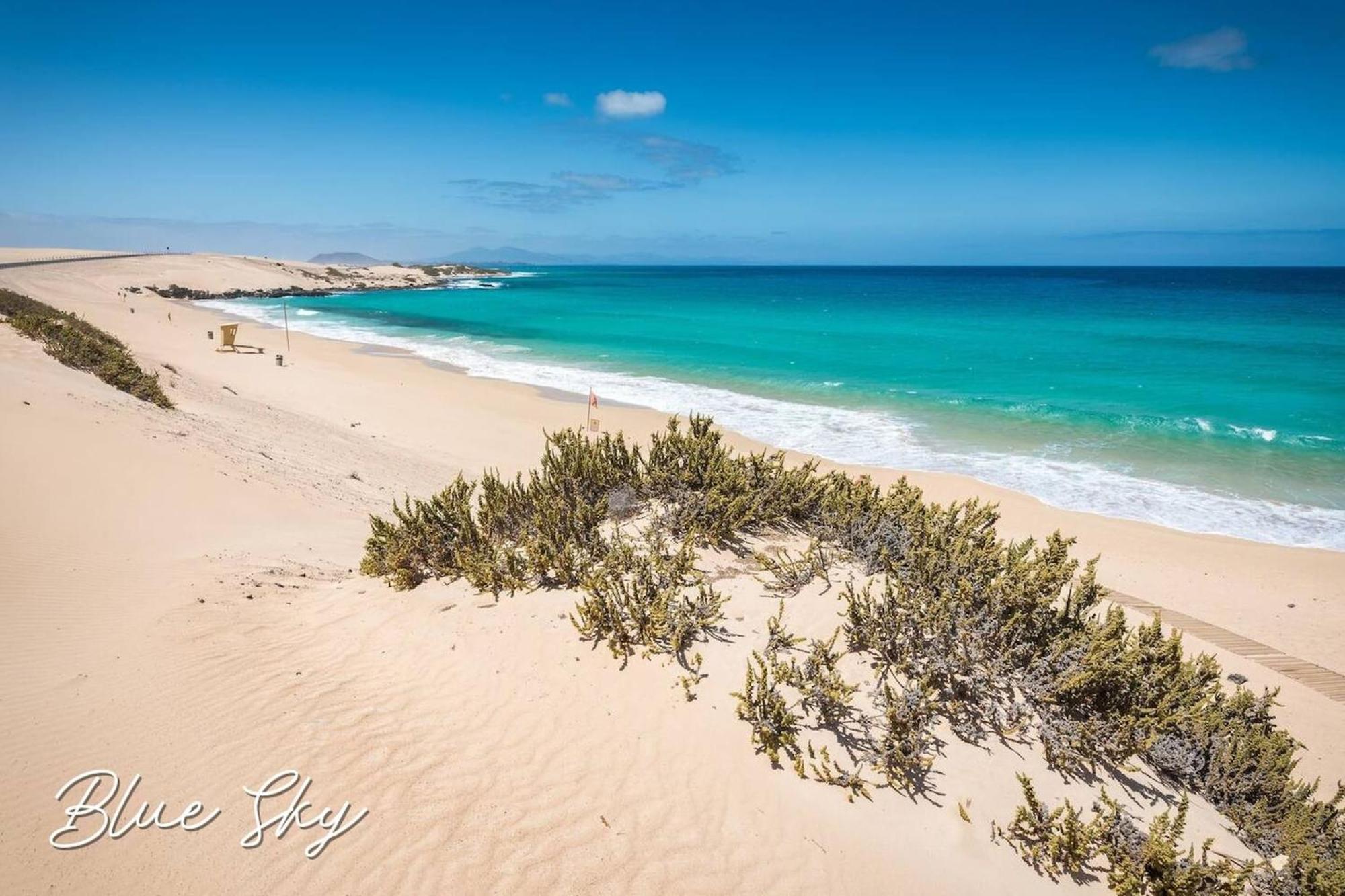 Corralejo Sun 335 Blue Sky By Rentalfue Εξωτερικό φωτογραφία